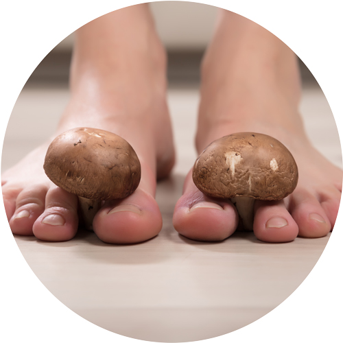 ganzheitliche Podologie<br />
Katrin Menzel
