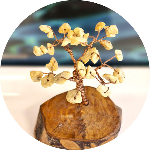 meinepraxis_baum_500x500